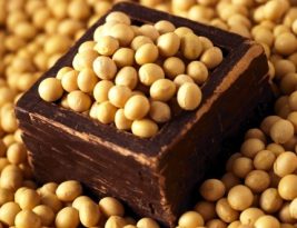 Proteine di soia, le migliori da assumere e perche’